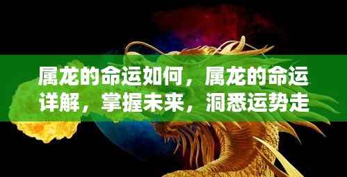 掌握未来命运走向,属龙人的运势详解与命运探索