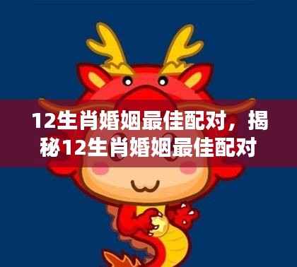 揭秘十二生肖最佳婚姻配对,幸福携手一生缘分天定