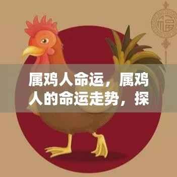 属鸡人的命运走势与机遇挑战探索
