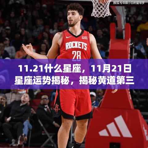揭秘黄道第三宫的真实力量,11月21日星座运势与星座性格解读