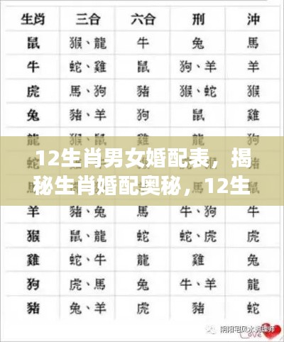 揭秘生肖婚配奥秘,男女最佳婚配表,生肖配对全解析
