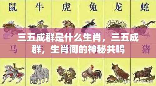 三五成群背后的生肖神秘共鸣