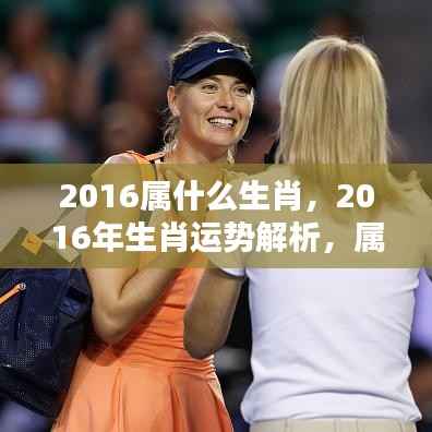 2016年属猴人的辉煌篇章,生肖运势深度解析