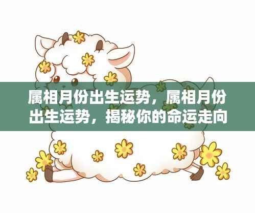 揭秘属相月份出生运势，洞悉命运走向的奥秘