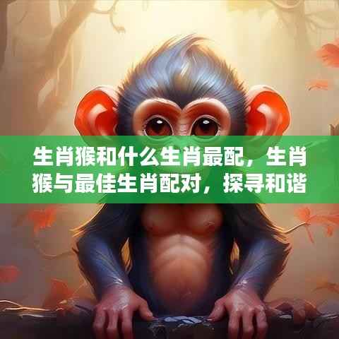 生肖猴的最佳生肖配对,探寻和谐共生的奥秘