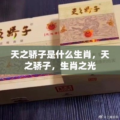 天之骄子的生肖之谜，探寻生肖之光