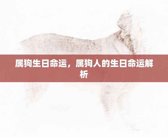 属狗人的生日命运详解，生肖狗的生命磁场解析
