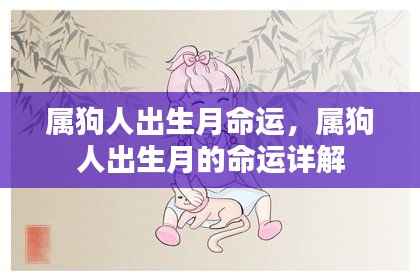 属狗人出生月命运详解，揭示不同月份出生的属狗人性格与命运特点
