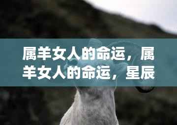 属羊女人的命运,星辰指引下的独特人生轨迹探索