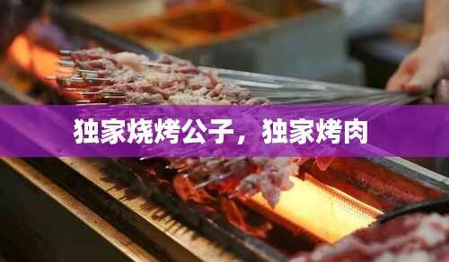 独家烧烤公子，独家烤肉 