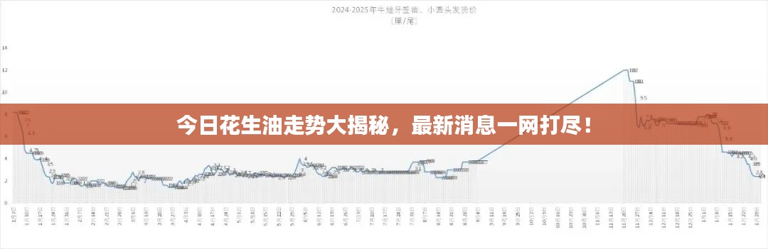 今日花生油走势大揭秘,最新消息一网打尽!