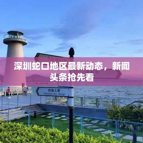 深圳蛇口地区最新动态,新闻头条抢先看