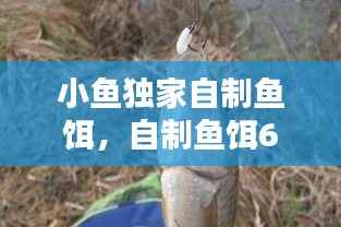 小鱼独家自制鱼饵,自制鱼饵61种方法