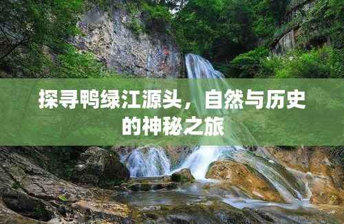 百鸟齐鸣 第4页