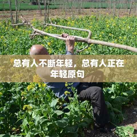 总有人不断年轻，总有人正在年轻原句 