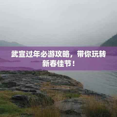 武宣过年必游攻略，带你玩转新春佳节！