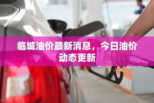 空前绝后 第5页